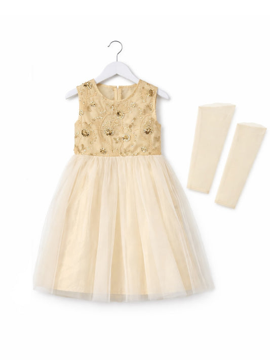 GOLDEN EMBROIDERY NET FROCK