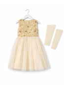 GOLDEN EMBROIDERY NET FROCK